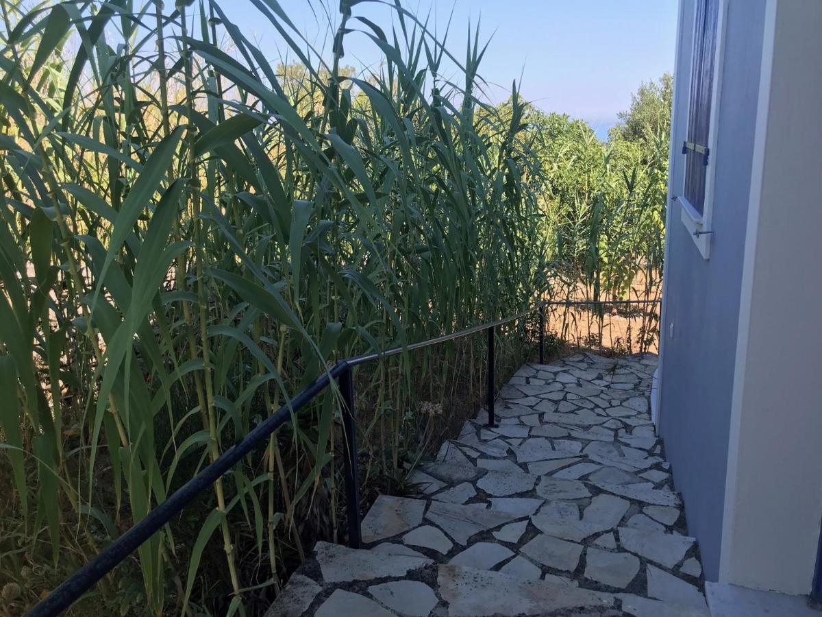 Artemis Villa Fiszkárdo Kültér fotó